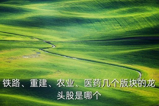 鐵路、重建、農業、醫藥幾個版塊的龍頭股是哪個