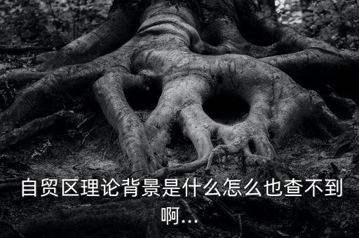 上海自貿區條列,上海臨港自貿區