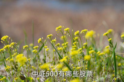 中證銀行指數成分股