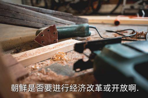  朝鮮是否要進行經濟改革或開放啊.