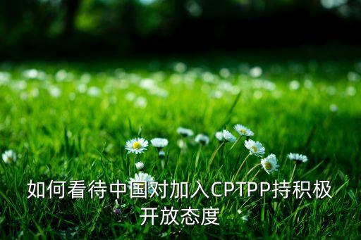 如何看待中國對加入CPTPP持積極開放態度