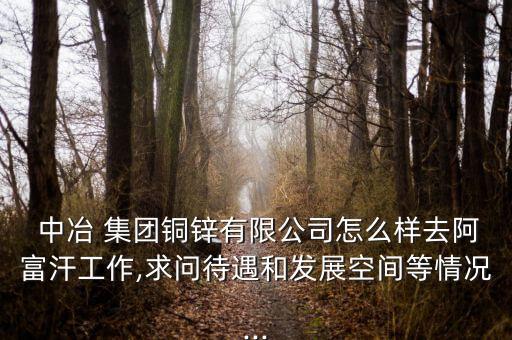  中冶 集團銅鋅有限公司怎么樣去阿富汗工作,求問待遇和發展空間等情況...
