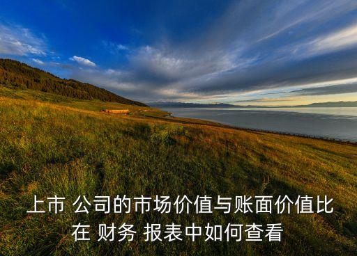 上市公司財務報表怎么看,非上市公司的財務報表怎么看