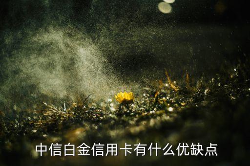  中信白金信用卡有什么優缺點