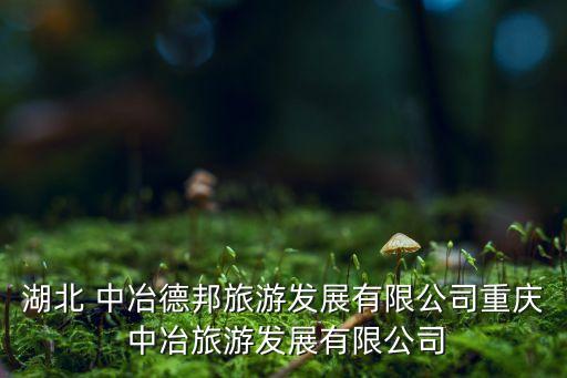 中冶礦業集團招聘,撫順礦業集團2023招聘信息