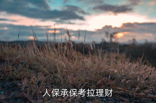 中國人保承保考拉理財