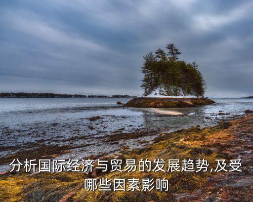 分析國際經濟與貿易的發展趨勢,及受哪些因素影響
