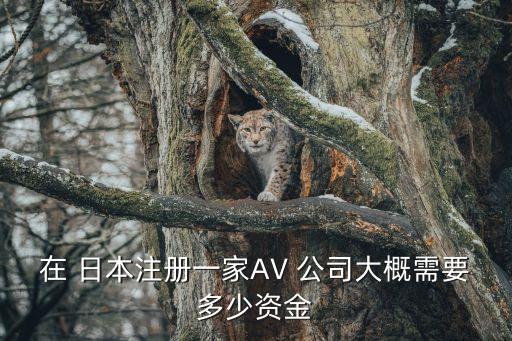 日本年輕人創業開公司,適合年輕人創業開的店