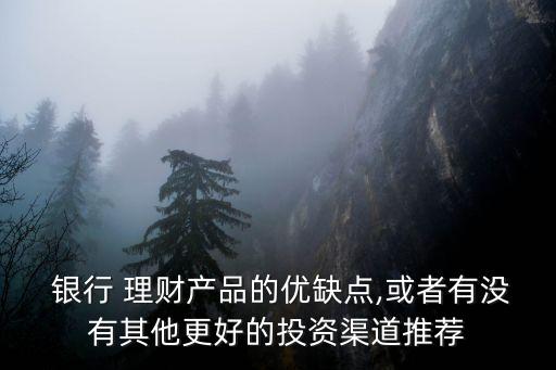  銀行 理財產品的優缺點,或者有沒有其他更好的投資渠道推薦