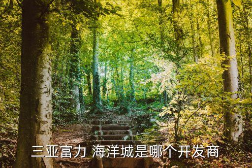 三亞富力 海洋城是哪個開發商