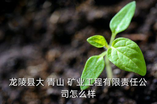 龍陵縣大 青山 礦業工程有限責任公司怎么樣