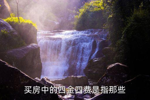 房產保險費銀行承擔,銀行代扣代繳社會保險費