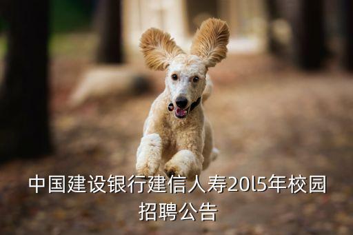 中國建設銀行建信人壽20l5年校園 招聘公告