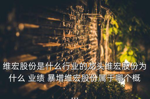 維宏股份是什么行業的龍頭維宏股份為什么 業績 暴增維宏股份屬于哪個概...