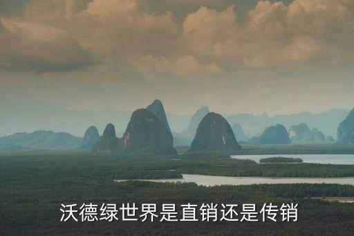 南京沃德置業有限公司,南京綠葉沃德制藥有限公司