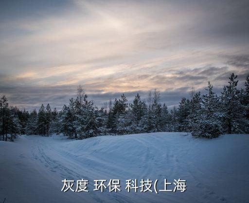 灰度 環保 科技(上海