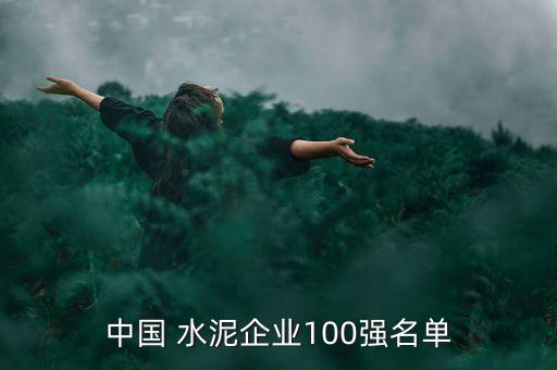 中國 水泥企業100強名單