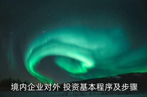  境內企業對外 投資基本程序及步驟