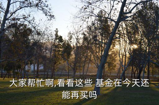 大家幫忙啊,看看這些 基金在今天還能再買嗎