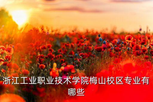 浙江工業職業技術學院梅山校區專業有哪些