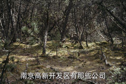 江蘇天澤信息產業有限公司,江蘇博文五行土地信息產業有限公司