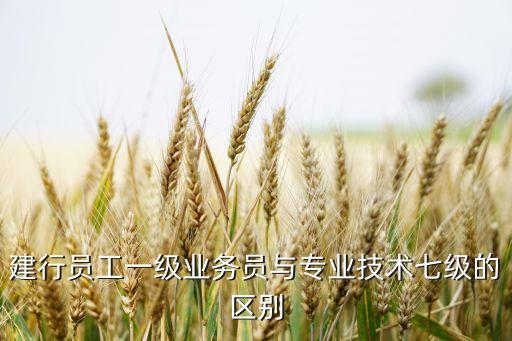 建行員工一級業務員與專業技術七級的區別