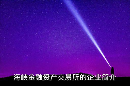 海峽金融資產交易所的企業簡介