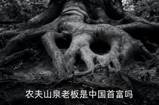 北京養生堂的董事長是誰