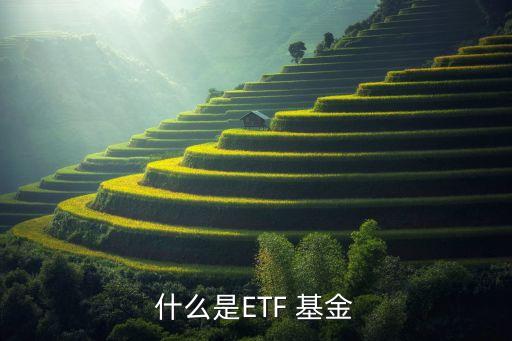 上證指數etf基金,滬深300指數基金怎么買
