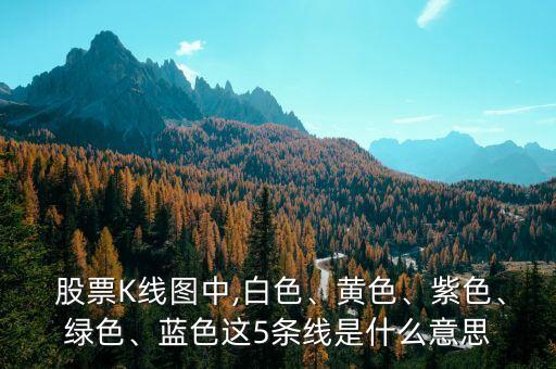  股票K線圖中,白色、黃色、紫色、綠色、藍色這5條線是什么意思