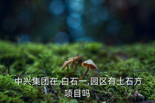  中興集團在,白石一,園區有土石方項目嗎