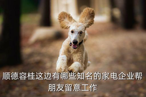 廣東海外聯電器有限公司,廣東外聯科技有限公司