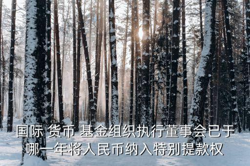國際 貨幣 基金組織執行董事會已于哪一年將人民幣納入特別提款權