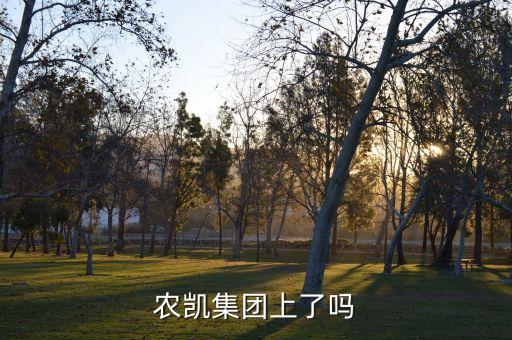 上海農凱集團上??了嗎
