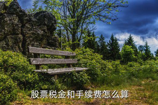  股票稅金和手續費怎么算