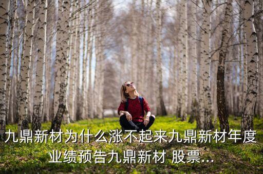 九鼎新材為什么漲不起來九鼎新材年度業績預告九鼎新材 股票...