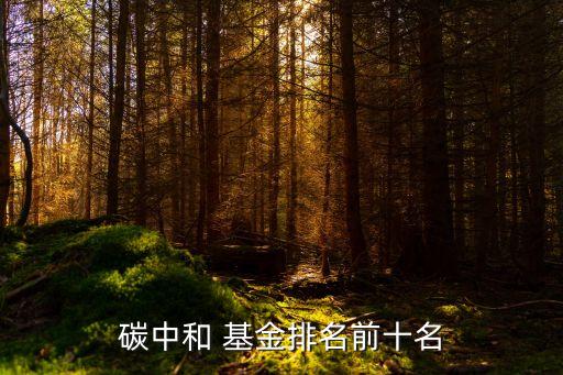 有關環保的基金,環保基金前十名排名榜