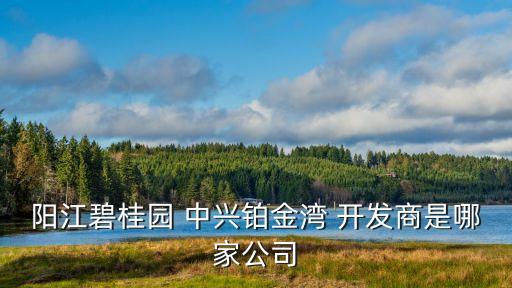 陽江碧桂園 中興鉑金灣 開發商是哪家公司