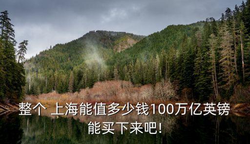 上海重點企業資產總額,0申報企業資產總額能不能填0
