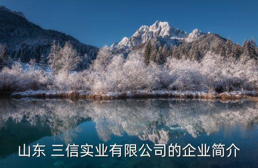 山東 三信實業有限公司的企業簡介