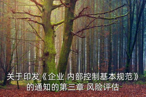子公司內部項目風險評審標準