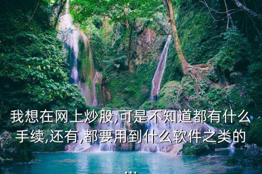 我想在網上炒股,可是不知道都有什么手續,還有,都要用到什么軟件之類的...
