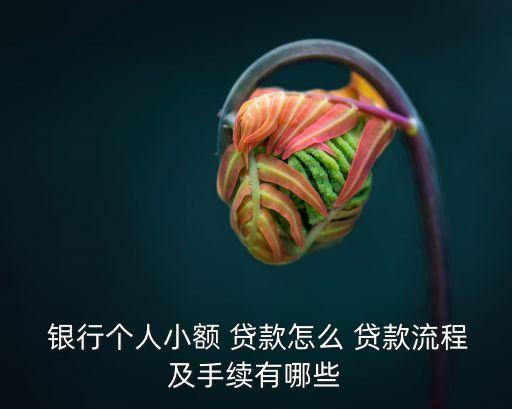  銀行個人小額 貸款怎么 貸款流程及手續有哪些