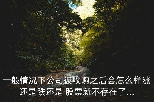被并購股票,并購股票支付的優點和缺點