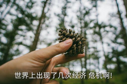 世界上出現了幾次經濟 危機啊!
