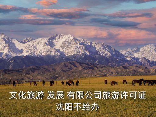 文化旅游 發展 有限公司旅游許可證沈陽不給辦