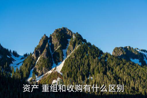 資產 重組和收購有什么區別