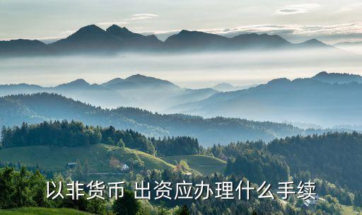 以非貨幣 出資應辦理什么手續