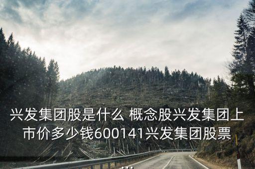 興發集團股是什么 概念股興發集團上市價多少錢600141興發集團股票...