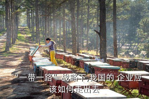 “一帶一路”戰略下,我國的 企業應該如何走出去